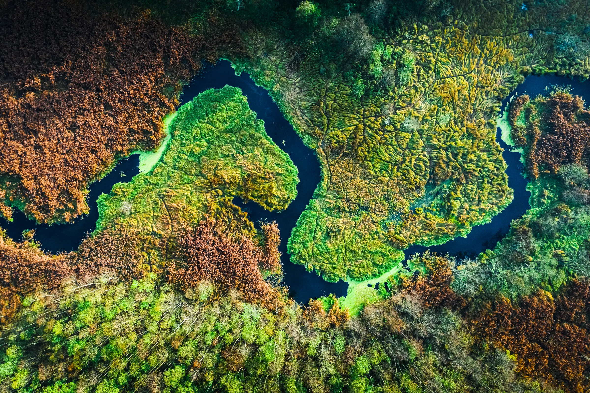 Beyond Carbon Offsets