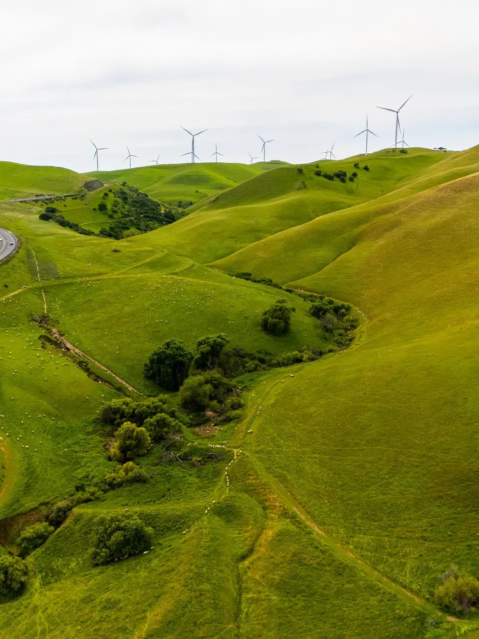 Aerial view of wind turbines lining green rolling hills