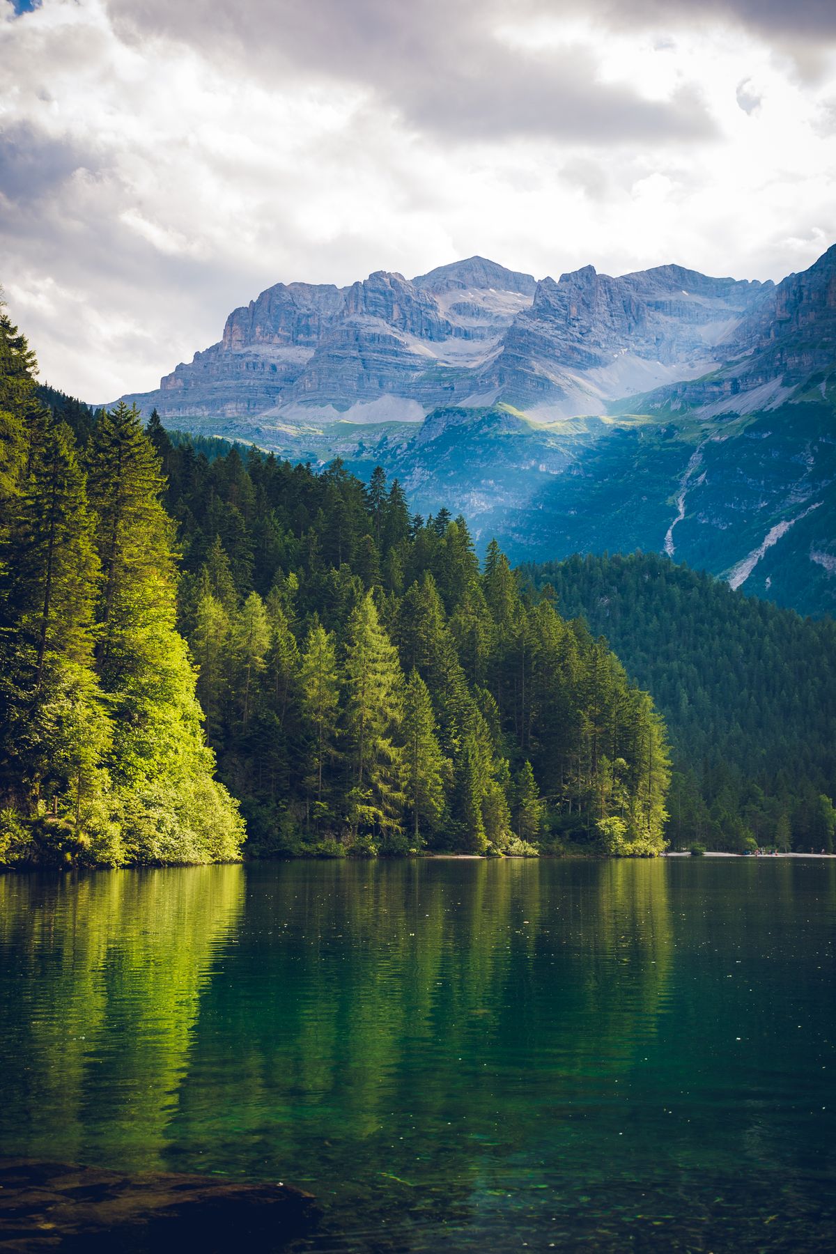 Forested mountain valley