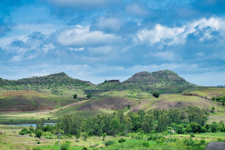 The Case for Green Bonds